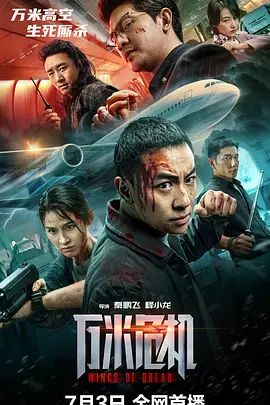 《媚黑雌堕洗脑伪娘调教》海报